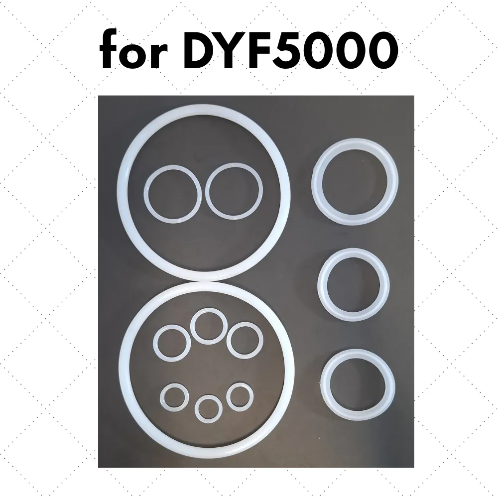 [R1061] Kit empaques O-ring + Empaque Ferrul (for DYF5000)L